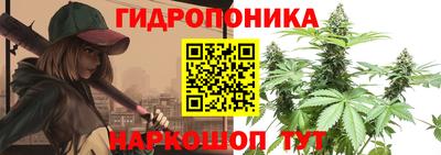 каннабис Кимры