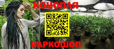 хмурый Кингисепп
