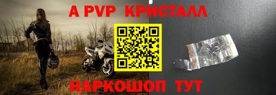 хмурый Кингисепп
