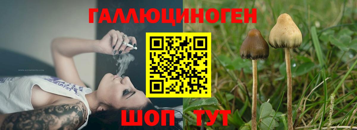 Кунгур  Псилоцибиновые грибы мухоморы  Псилоцибиновые грибы Magic Shrooms  Вход с VPN 
